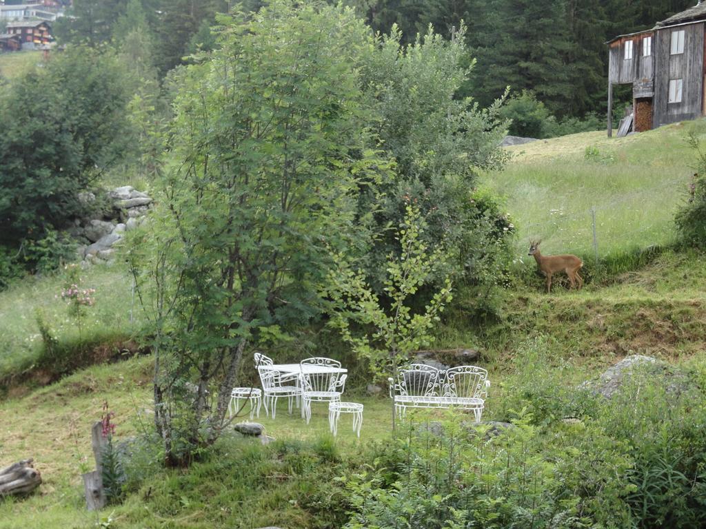 Chalet Sven & Marc Graechen, Niedergraechen Vallis سانكت نيكلاوس الغرفة الصورة